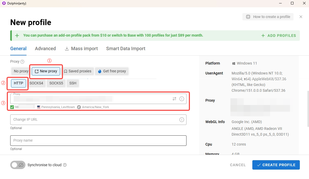 Enter IPWeb proxy details in Dolphin Anty