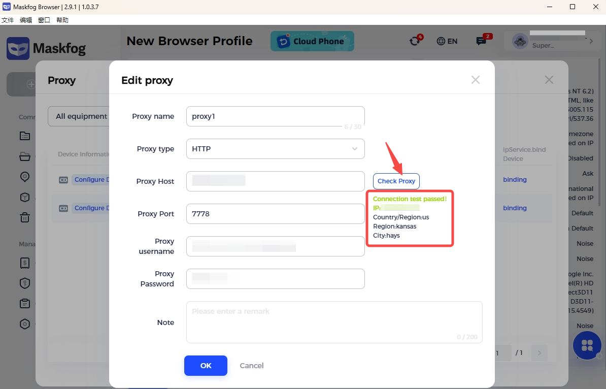 Check the IPWeb proxy connection in MaskFog