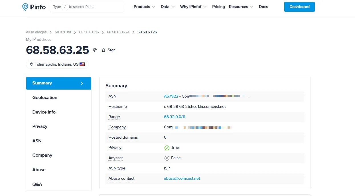 ipinfo.io在线工具查询界面截图，显示了详细的公网IP地址、ISP运营商信息、地理位置以及是否使用代理的检测结果