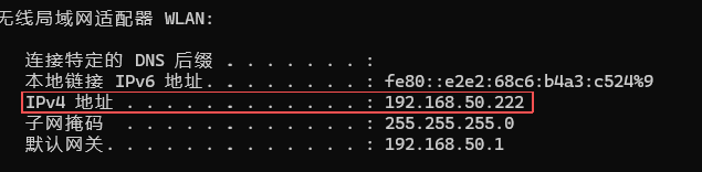 Windows系统命令提示符运行ipconfig指令后显示的IPv4本地局域网地址截图