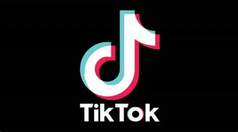 《TikTok运营全攻略》博客封面图，主体为高对比度的TikTok官方标志，象征着对平台官方规则和核心玩法的深入解读。