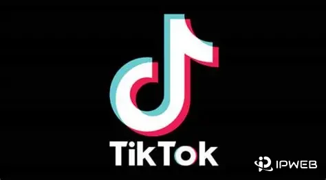 《TikTok运营全攻略》博客封面图，主体为高对比度的TikTok官方标志，象征着对平台官方规则和核心玩法的深入解读。
