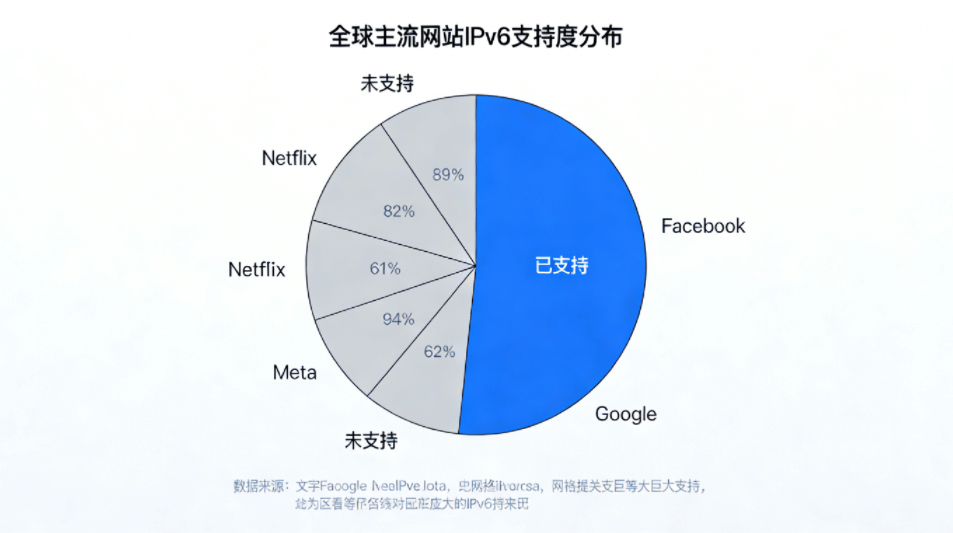 全球主流网站IPv6支持度饼图，展示Google、Facebook、Netflix等巨头的支持情况