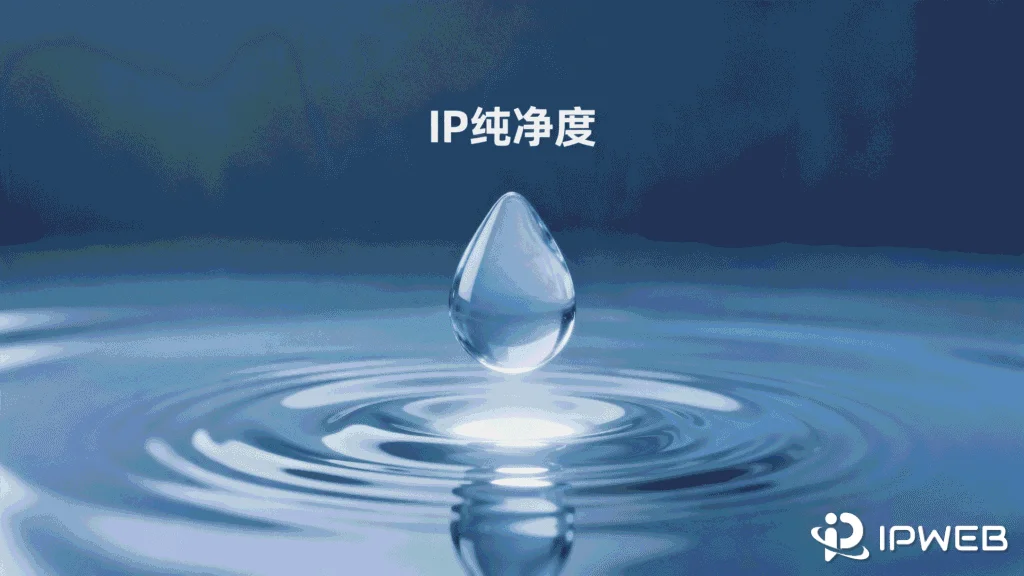 什么是IP纯净度？