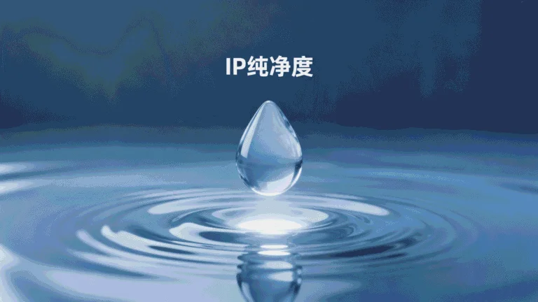 什么是IP纯净度？
