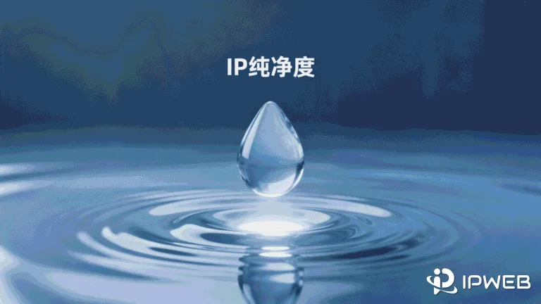 什么是IP纯净度？
