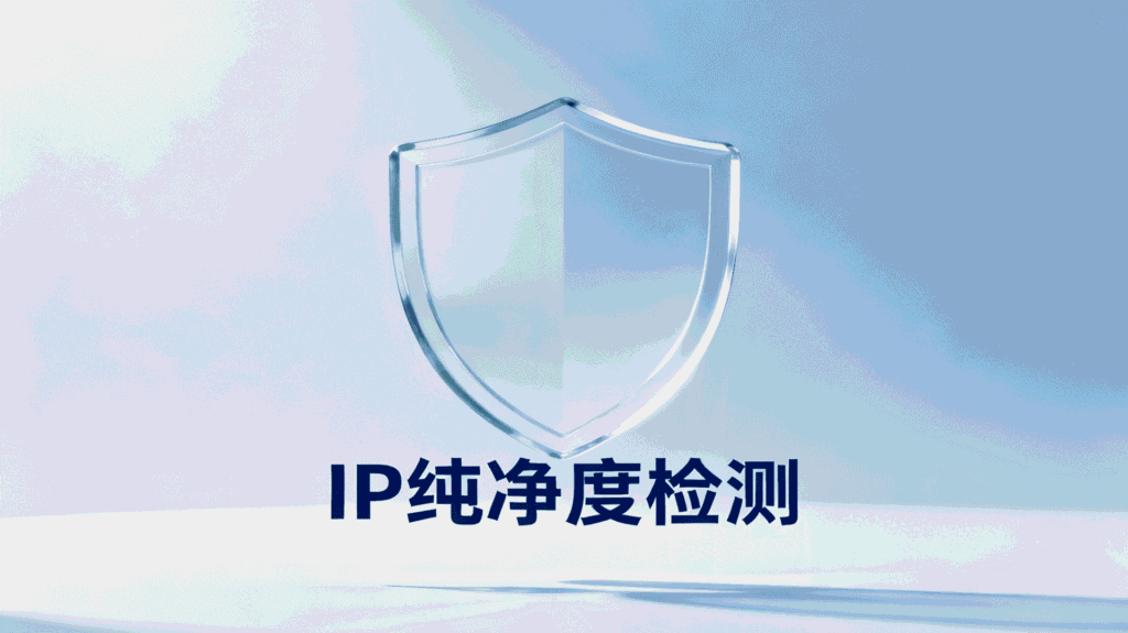 2026年IP纯净度检测指南