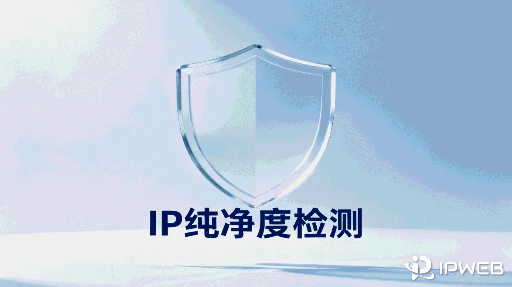 2026年IP纯净度检测指南