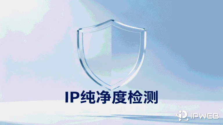 2026年IP纯净度检测指南