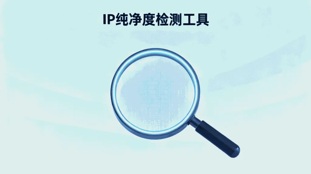 IP纯净度检测工具