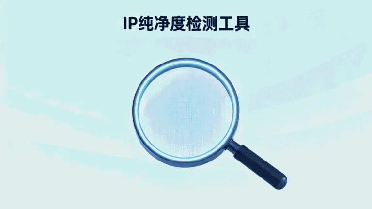 IP纯净度检测工具