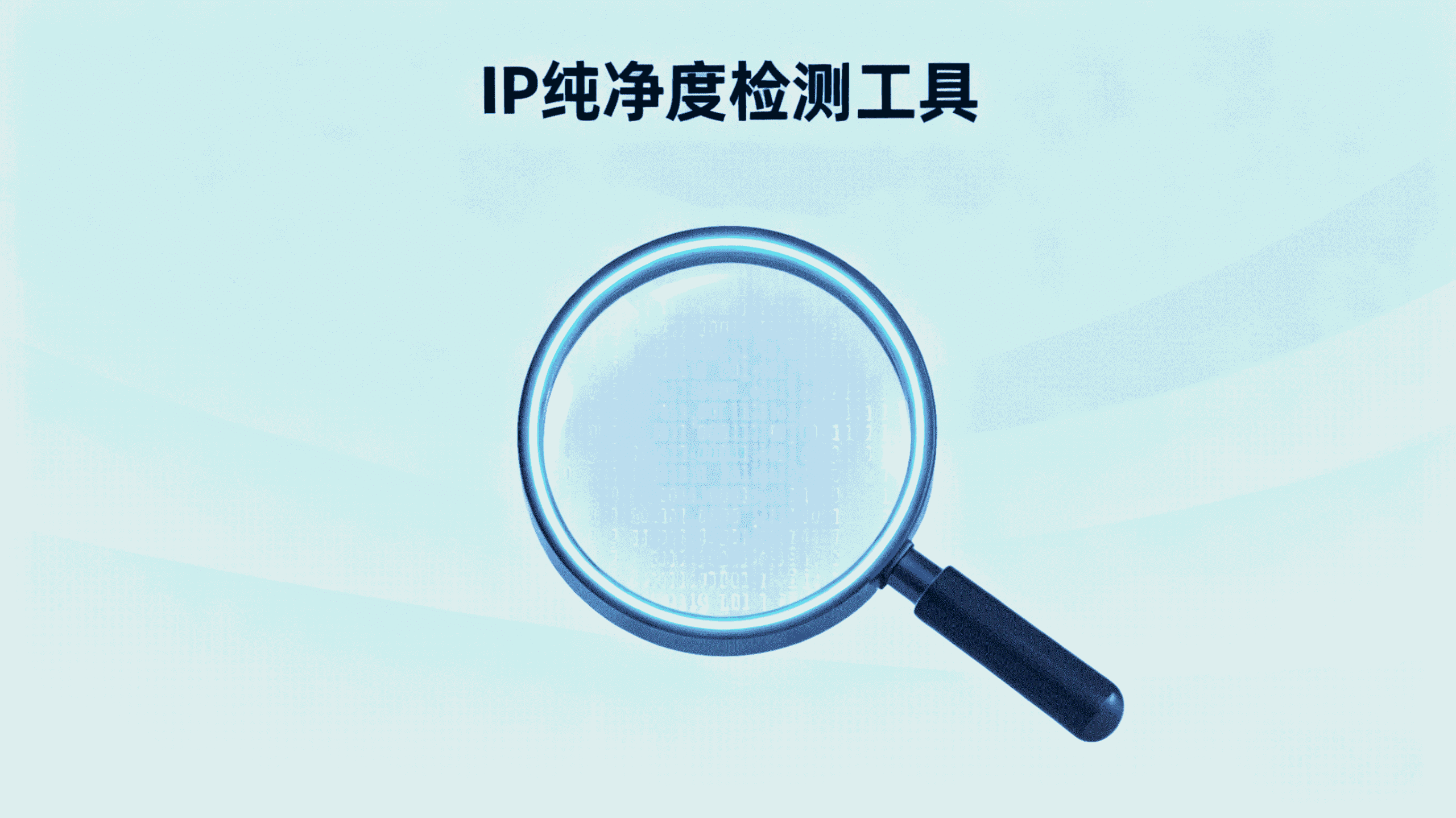 IP 纯净度检测工具指南：API 自动化、企业级风控与批量账号选型