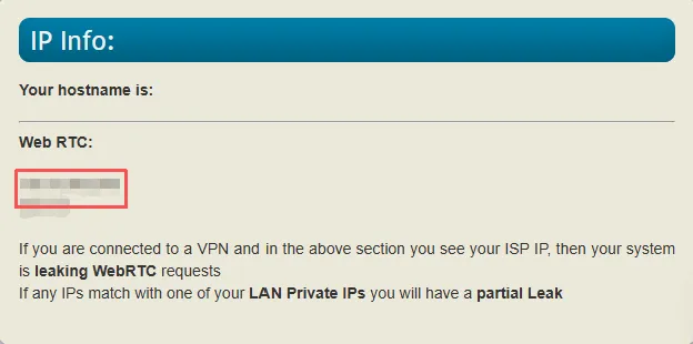 WebRTC 泄露，真实 IP 暴露