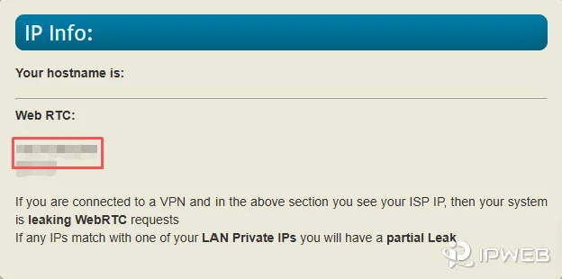 WebRTC 泄露，真实 IP 暴露