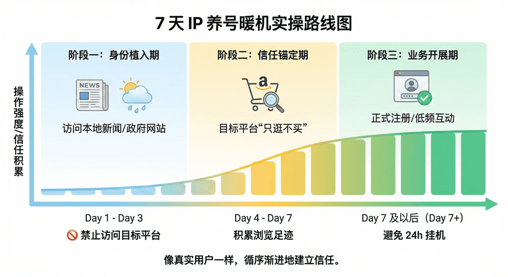 账号养号三阶段时间轴示意图：从身份植入(Day1-3)到信任锚定(Day4-7)再到业务开展(Day7+)的操作强度曲线