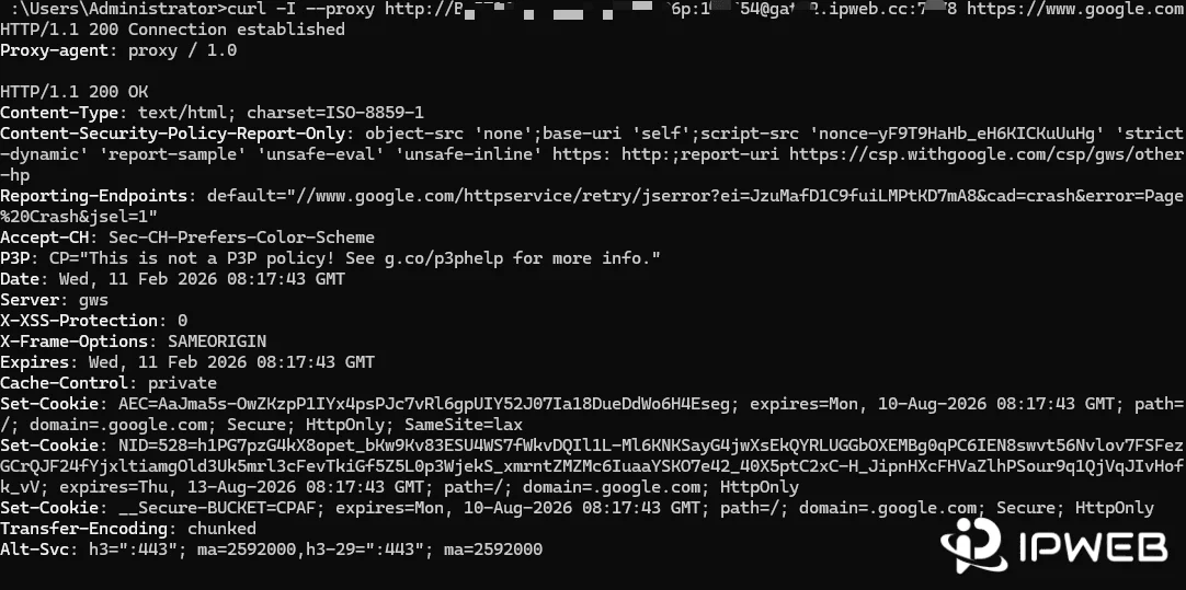 使用 curl 命令检测代理 IP 的响应头信息