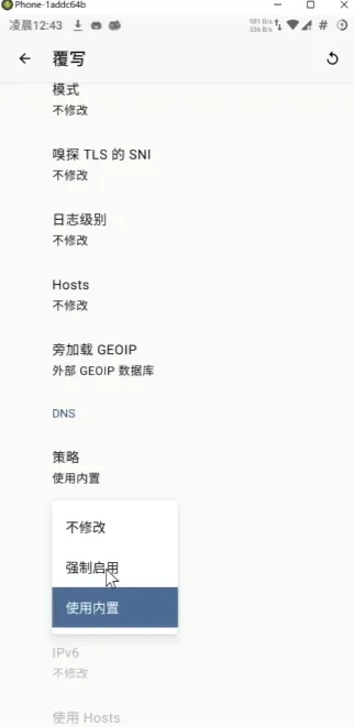 Android Clash客户端覆写设置中强制启用DNS策略