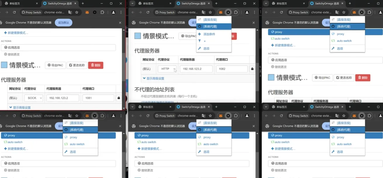 在多个独立 Chrome 实例中分别配置代理插件和代理端口