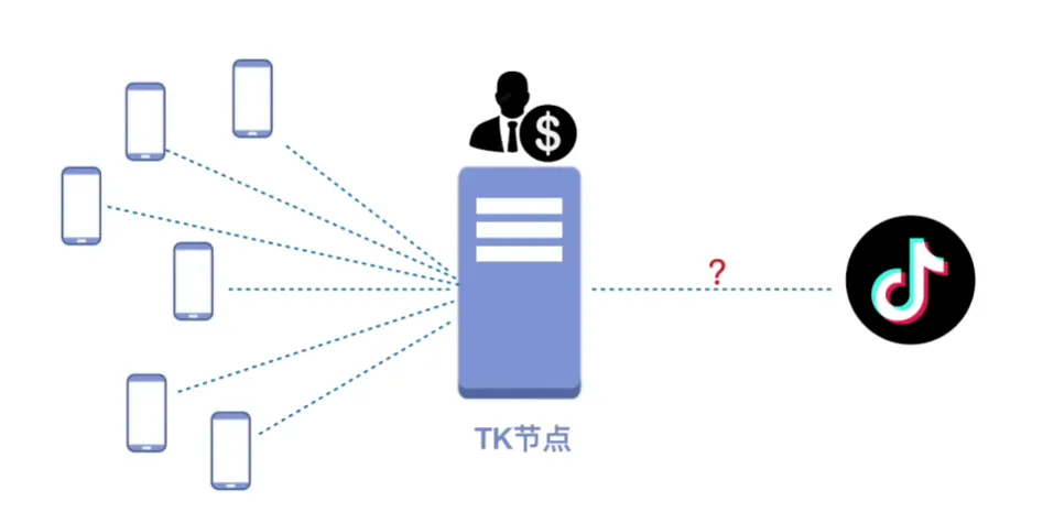 自建独享IP节点配置与检测