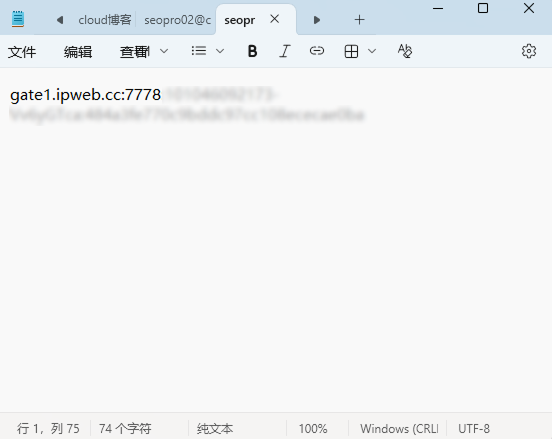 代理服务商提供的代理IP、端口、协议及认证参数信息示例图