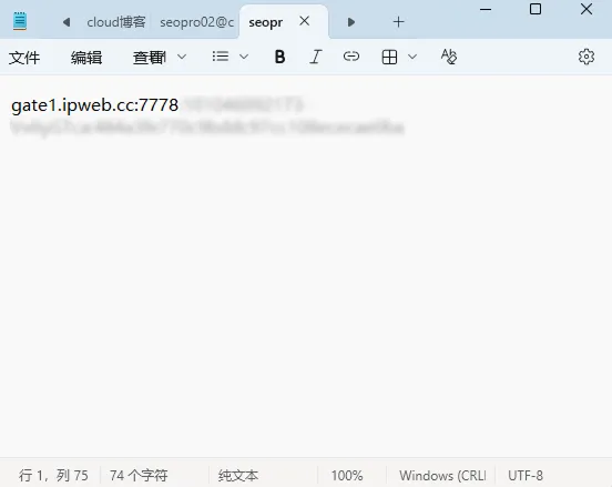 代理服务商提供的代理IP、端口、协议及认证参数信息示例图
