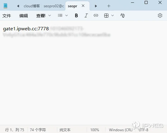代理服务商提供的代理IP、端口、协议及认证参数信息示例图