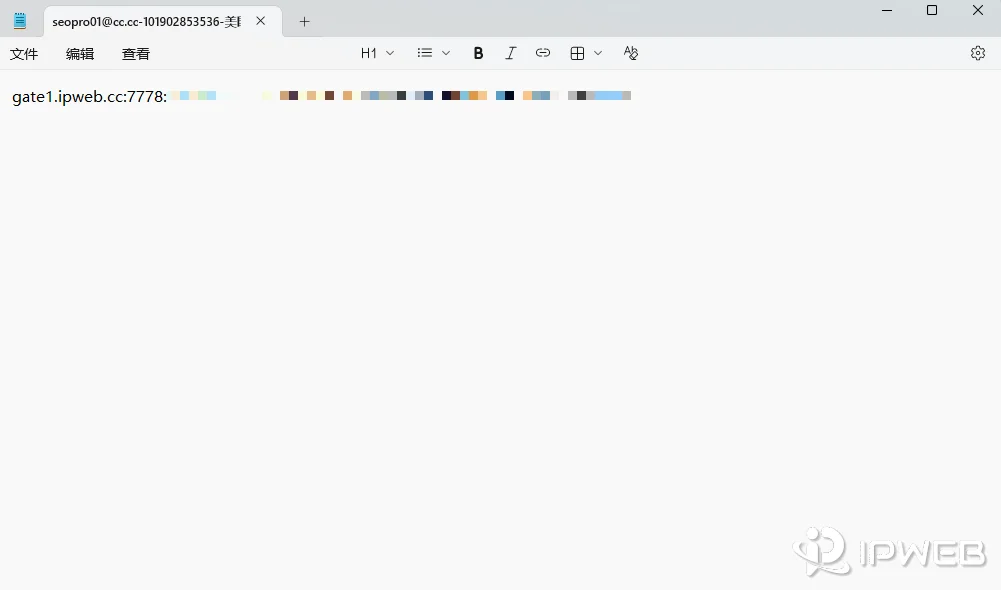 IPWeb静态代理购买成功后，生成的代理 txt 文件
