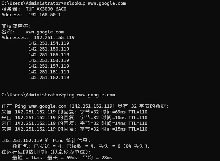 使用 nslookup 和 ping 测试 DNS 解析与基础连通性示例