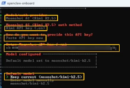 OpenClaw 初始化向导中，在终端里粘贴 API Key 的界面示意图