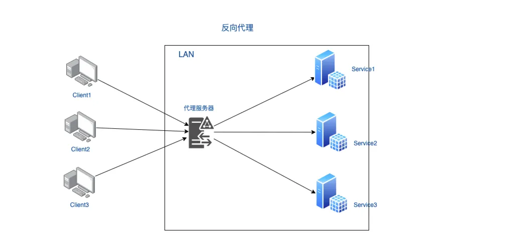 反向代理示意图，客户端访问代理入口，再由代理层分发到多个后端服务