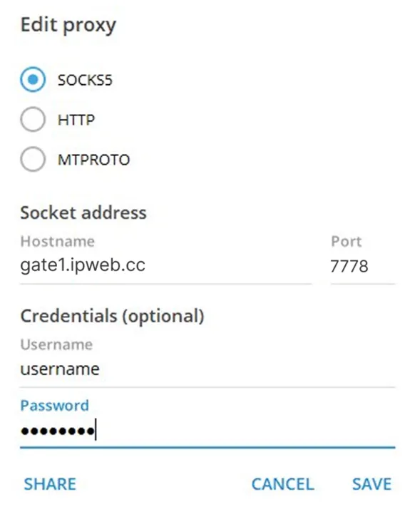 Telegram桌面端选择协议类型并填写代理参数示例图