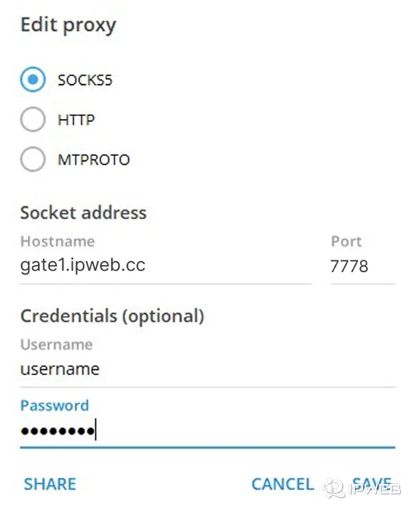 Telegram桌面端选择协议类型并填写代理参数示例图