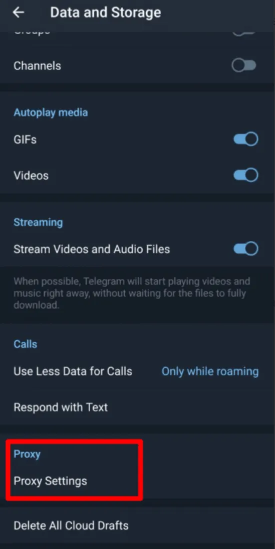 Telegram数据和存储页面底部Proxy Settings入口示例图