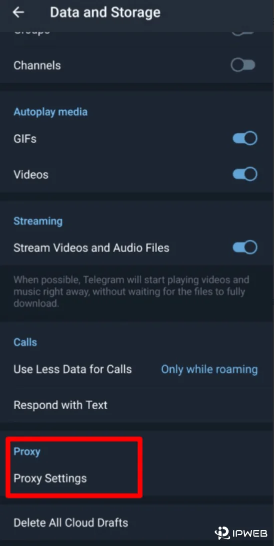 Telegram数据和存储页面底部Proxy Settings入口示例图