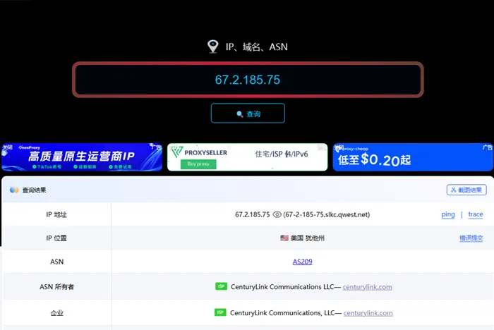 浏览器中检测最终出口 IP 信息，显示当前链式代理最终对外的 IP 地址与地区结果