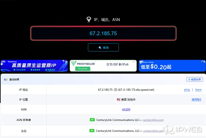 浏览器中检测最终出口 IP 信息，显示当前链式代理最终对外的 IP 地址与地区结果