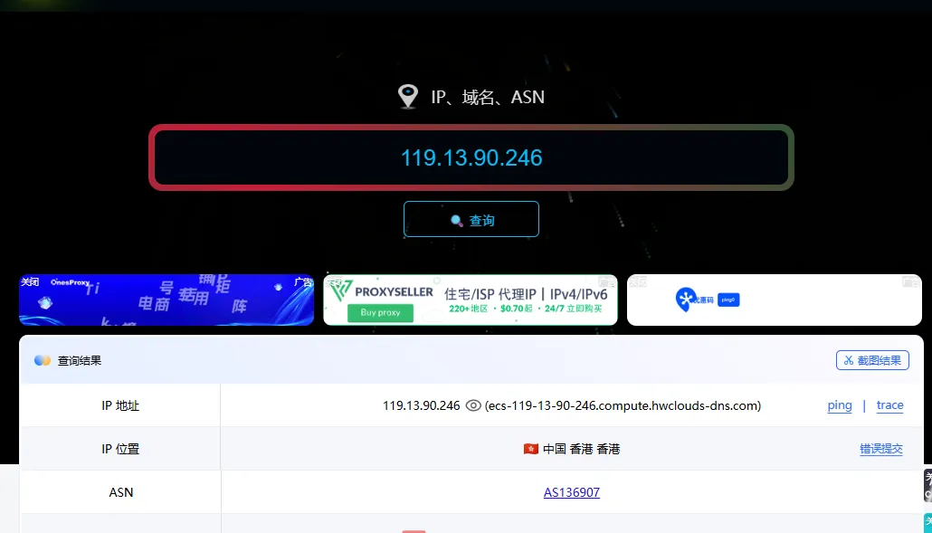 浏览器打开 IP 检测页面并显示代理节点出口 IP 信息