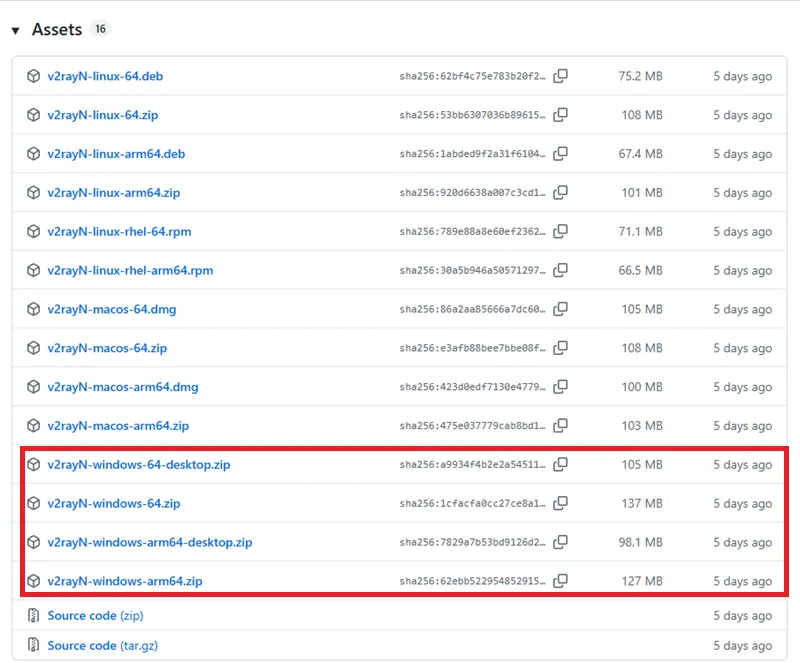 GitHub Releases 页面中 v2rayN 安装包