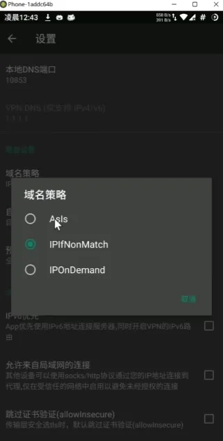 V2rayNG设置域名策略为SEAS模式