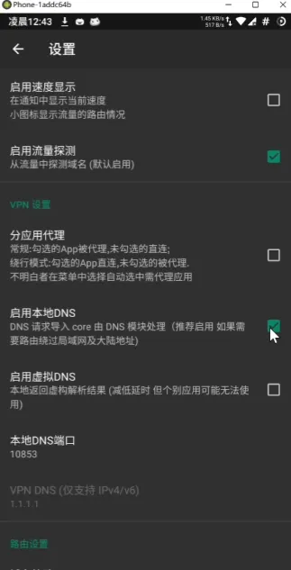 Android V2rayNG客户端启动本地DNS与虚拟DNS设置