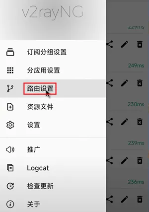 v2rayNG 设置页面中查找路由设置选项的界面截图