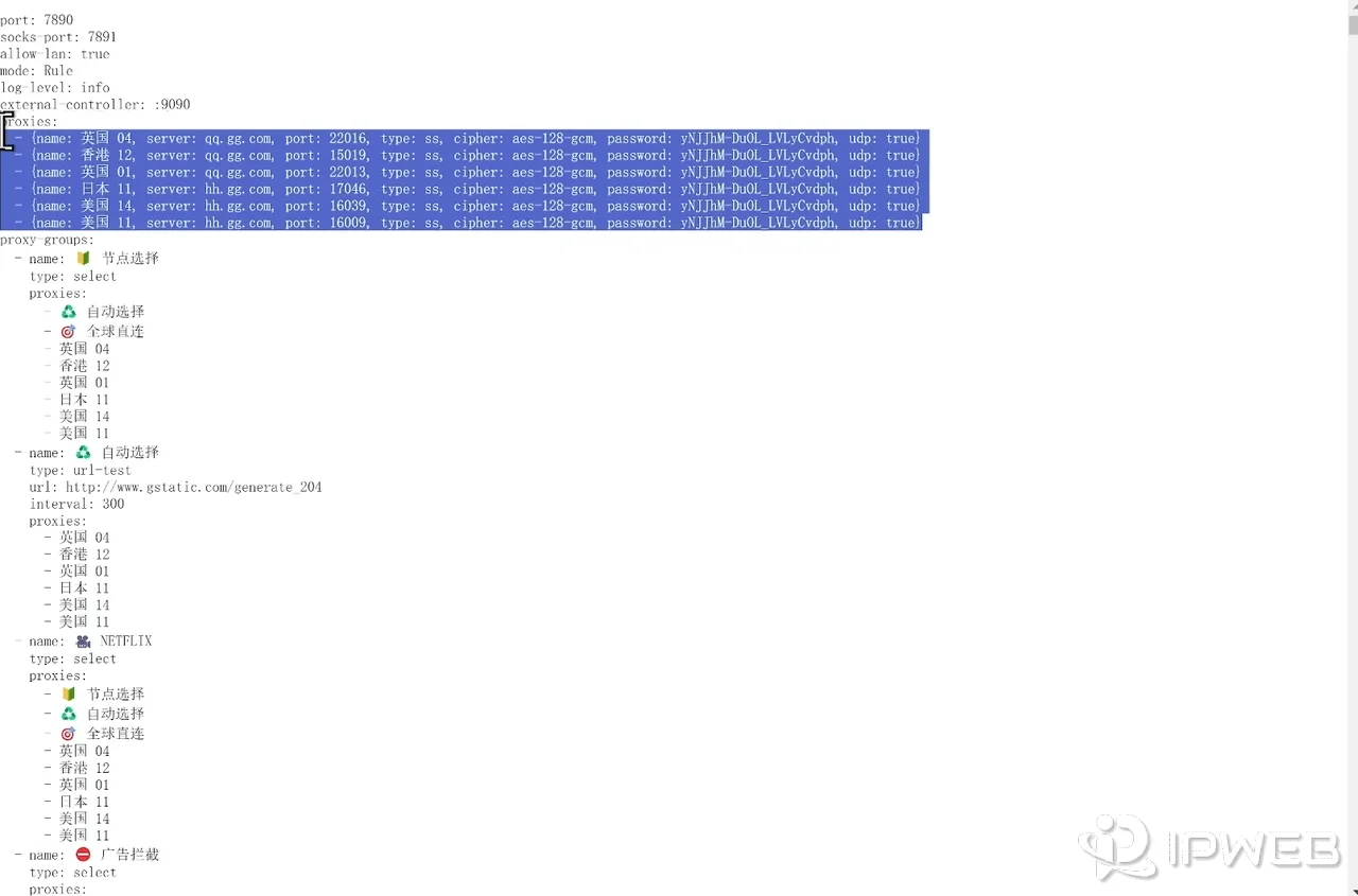 复制proxies节点部分生成端口配置演示