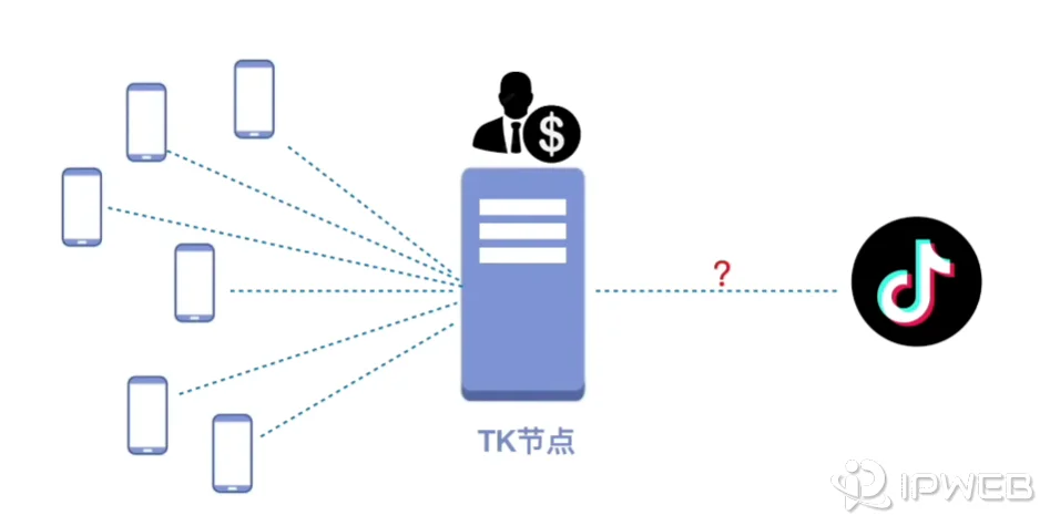 自建独享IP节点配置与检测