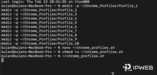 在 Mac 终端中执行 chrome_profiles.sh 启动多个独立 Chrome 实例