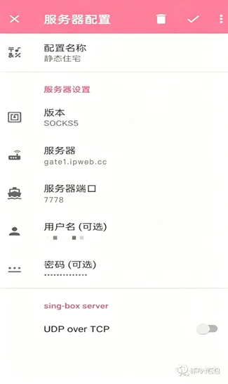 NekoBox服务器配置界面，展示了静态住宅代理的SOCKS 5协议类型、服务器地址、端口及身份验证等信息的填写