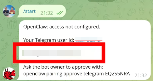 Telegram 机器人首次打开时的对话窗口示意图，页面显示 OpenClaw access not configured 和配对码信息