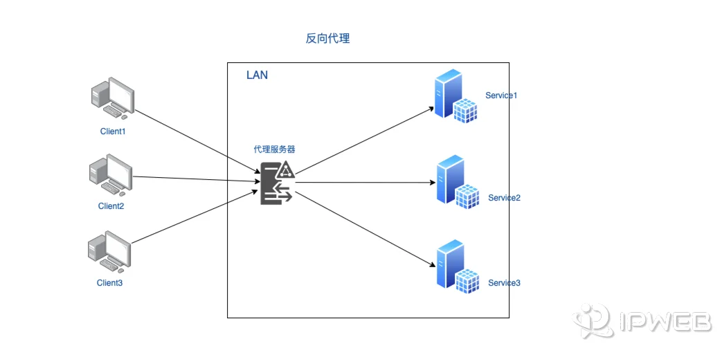 反向代理示意图，客户端访问代理服务器，再由代理服务器分发到多个后端服务