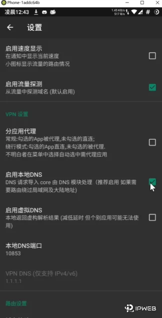 Android V2rayNG客户端启动本地DNS与虚拟DNS设置
