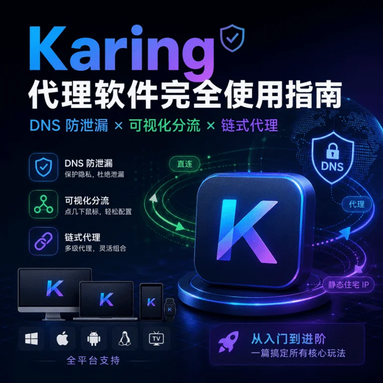 Karing 使用教程：DNS 防泄漏 · 可视化分流 · 链式代理全攻略