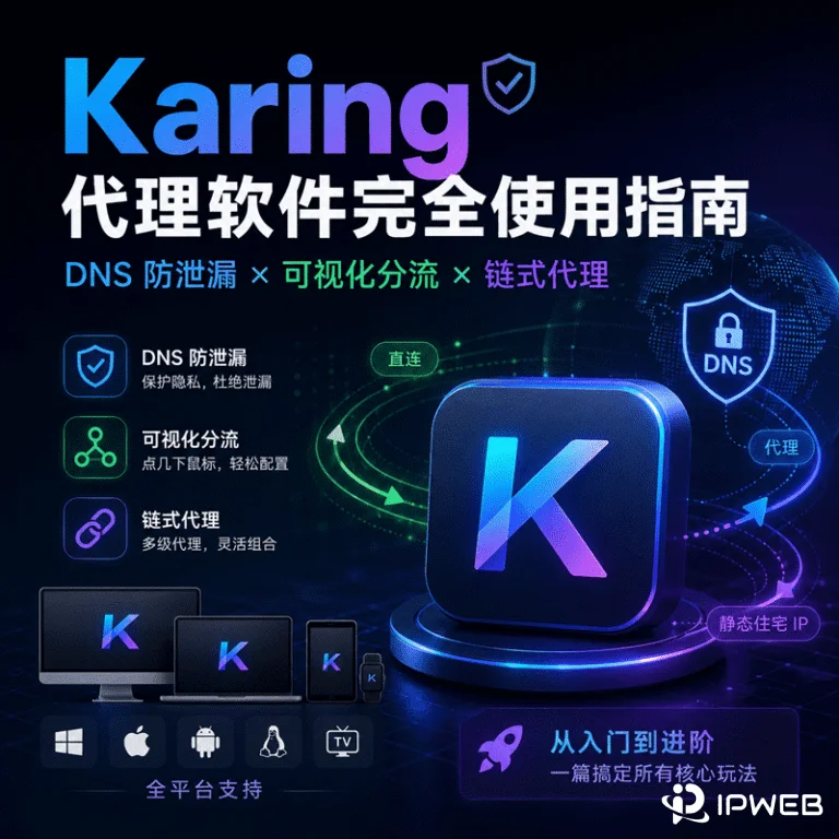 Karing 使用教程：DNS 防泄漏 · 可视化分流 · 链式代理全攻略